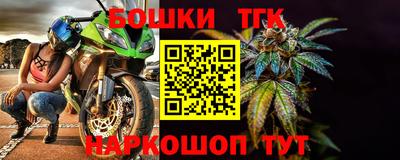 индика Усть-Илимск