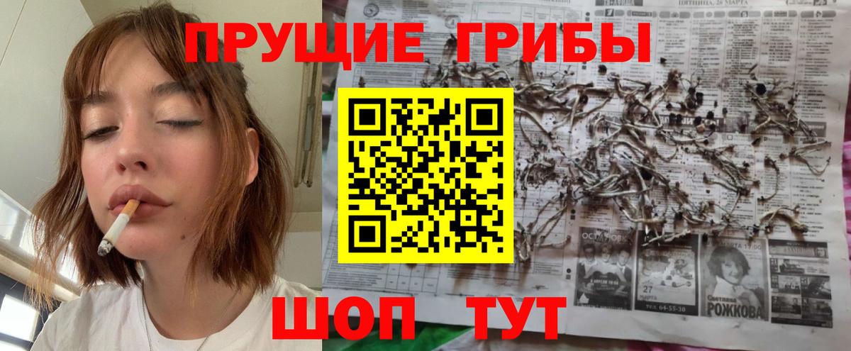 Галлюциногенные грибы Psilocybine cubensis  Вход с VPN  Галлюциногенные грибы Magic Shrooms  Карталы 